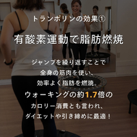 画像333