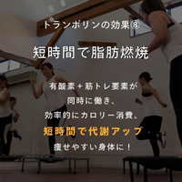 画像384