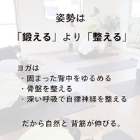 画像454