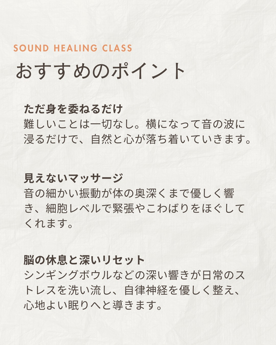 画像494